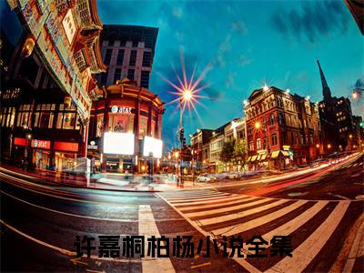 许嘉桐柏杨（许嘉桐柏杨）全文免费阅读最新章节_许嘉桐柏杨小说免费最新章节列表_笔趣阁