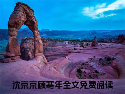 沈京京顾寒年全文免费阅读_沈京京顾寒年无弹窗最新章节