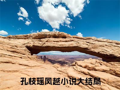 孔枝瑶凤越（孔枝瑶凤越）是什么小说-小说孔枝瑶凤越全文阅读