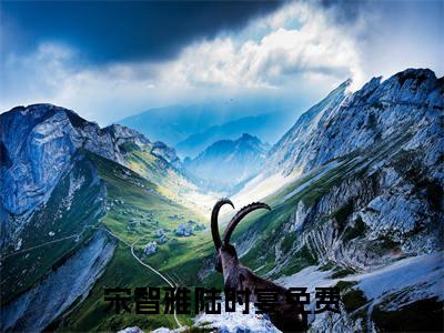 宋智雅陆时宴小说全文免费阅读_宋智雅陆时宴（宋智雅陆时宴）最新章节列表笔趣阁