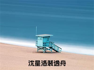 沈星洛裴逸舟全文免费阅读无弹窗大结局_（沈星洛裴逸舟）最新章节列表笔趣阁（沈星洛裴逸舟）