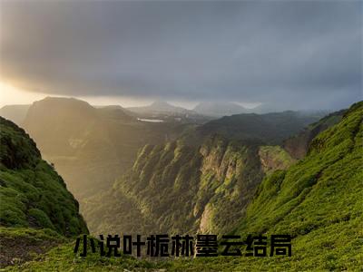叶栀林墨云正版小说全文阅读-小说推荐叶栀林墨云精彩章节全文阅读