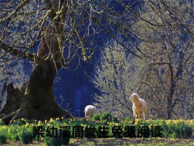 小说梁幼溪周誉生完整版在线阅读梁幼溪周誉生精选小说推荐试读