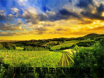 周以柔燕澹生（周以柔燕澹生全文小说）全文免费阅读无弹窗大结局_周以柔燕澹生全文免费阅读最新章节列表