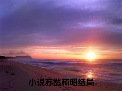 苏然林昭免费阅读无弹窗大结局-苏然林昭（苏然林昭最新全章节大结局）全文阅读