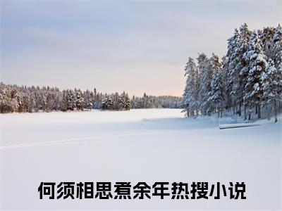 何须相思煮余年小说全文免费阅读无弹窗大结局_（何须相思煮余年全文免费阅读）宋时微陆云深最新章节列表笔趣阁