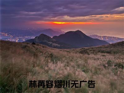 【新书】《林苒容熠川》全文免费阅读无弹窗大结局-林苒容熠川全章节免费阅读