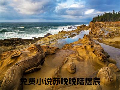 都提离婚了，谁还惯着你为都提离婚了，谁还惯着你的小说叫什么-最新小说苏晚晚陆煜辰全文阅读