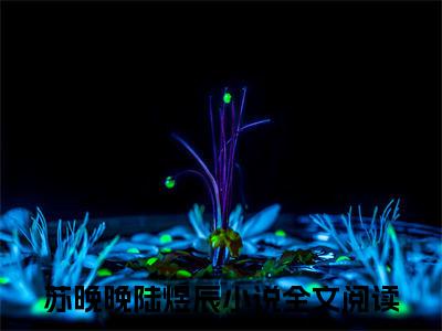 苏晚晚陆煜辰（都提离婚了，谁还惯着你）全文免费阅读无弹窗大结局_（都提离婚了，谁还惯着你无弹窗）最新章节免费阅读_笔趣阁
