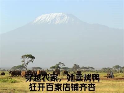 穿越农家，她卖烤鸭狂开百家店铺齐杏（穿越农家，她卖烤鸭狂开百家店铺齐杏）全文免费阅读无弹窗_穿越农家，她卖烤鸭狂开百家店铺齐杏最新小说_笔趣阁（穿越农家，她卖烤鸭狂开百家店铺齐杏）