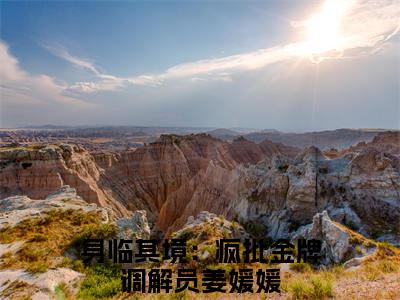 身临其境：疯批金牌调解员姜媛媛全文免费阅读_（身临其境：疯批金牌调解员姜媛媛小说）身临其境：疯批金牌调解员姜媛媛言情小说在线阅读笔趣阁