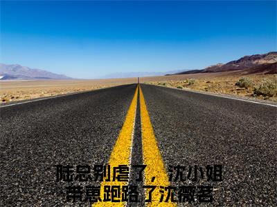陆总别虐了，沈小姐带崽跑路了沈薇茗免费完结小说-陆总别虐了，沈小姐带崽跑路了沈薇茗在线阅读全文（陆总别虐了，沈小姐带崽跑路了沈薇茗）
