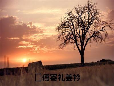 傅寄礼姜衿小说全文免费阅读（傅寄礼姜衿）全文免费阅读无弹窗_傅寄礼姜衿小说全文免费阅读_笔趣阁（傅寄礼姜衿）