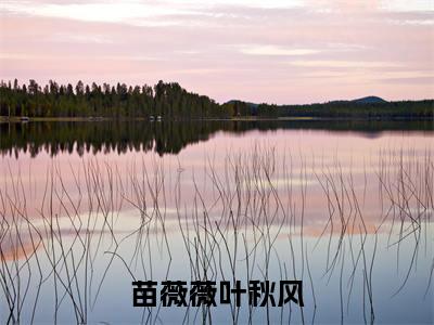苗薇薇叶秋风小说全文免费阅读无弹窗大结局_（苗薇薇叶秋风免费阅读无弹窗）最新章节列表_笔趣阁