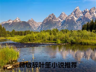 林敬辞叶笙精彩章节在线阅读-林敬辞叶笙美文欣赏