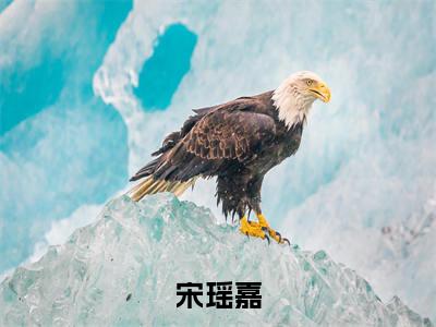 宋瑶嘉的小说主角（喝奶时被读心，饕餮崽崽成京城团宠）免费阅读_喝奶时被读心，饕餮崽崽成京城团宠热搜小说完结版阅读