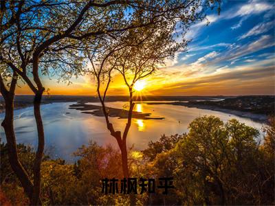 林枫（高武世界，我为华夏武神小说）小说免费最新章节列表_林枫笔趣阁（高武世界，我为华夏武神小说）