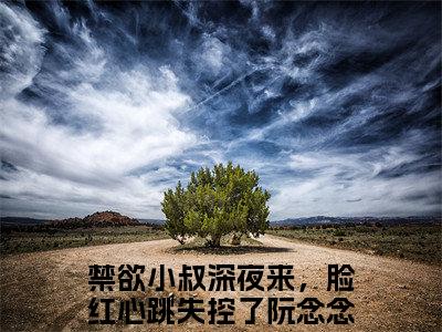 禁欲小叔深夜来，脸红心跳失控了阮念念全文免费阅读无弹窗大结局-禁欲小叔深夜来，脸红心跳失控了阮念念(禁欲小叔深夜来，脸红心跳失控了阮念念小说)最新章节-笔趣阁
