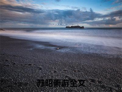 高赞小说（苏昭秦游小说免费阅读）完结阅读_苏昭秦游全文免费阅读最新章节大结局