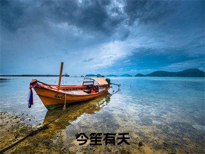 傅辰笙沈漓（今笙有夭）全文免费阅读无弹窗大结局_傅辰笙沈漓最新章节列表