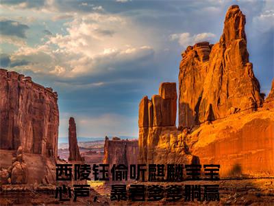 （热推新书）西陵钰全文免费阅读无弹窗大结局-热推偷听麒麟宝宝心声，暴君爹爹躺赢无弹窗阅读西陵钰在线阅读