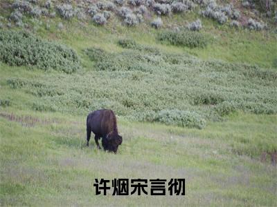 军婚两年未见，小军嫂带俩娃找爹（许烟宋言彻）全文免费阅读无弹窗大结局_军婚两年未见，小军嫂带俩娃找爹（许烟宋言彻）全文阅读_笔趣阁