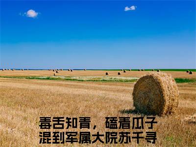毒舌知青，磕着瓜子混到军属大院苏千寻热门小说最新章节免费阅读-完结版全文毒舌知青，磕着瓜子混到军属大院苏千寻小说在线阅读