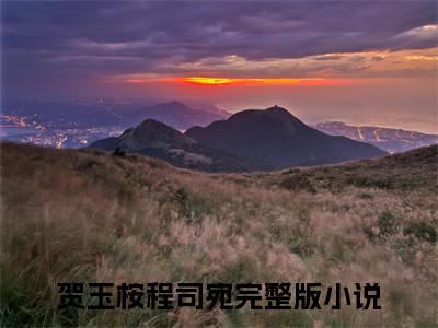 贺玉桉程司宛（贺玉桉程司宛全文阅读） 贺玉桉程司宛新书热荐免费小说