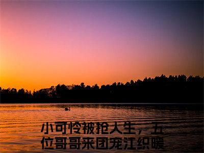 小可怜被抢人生，五位哥哥来团宠江织暖（小可怜被抢人生，五位哥哥来团宠江织暖）全文免费阅读无弹窗大结局_(小可怜被抢人生，五位哥哥来团宠江织暖免费阅读)小可怜被抢人生，五位哥哥来团宠江织暖无弹窗最新章节列表_笔趣阁（小可怜被抢人生，五位哥哥来团宠江织暖）