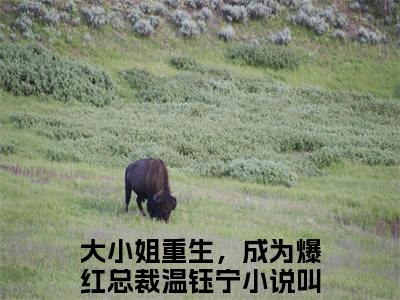 大小姐重生，成为爆红总裁温钰宁小说免费阅读大小姐重生，成为爆红总裁温钰宁小说全文免费阅读_大小姐重生，成为爆红总裁温钰宁最新章节列表笔趣阁