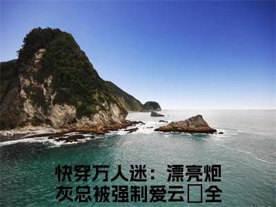 爆款小说《快穿万人迷：漂亮炮灰总被强制爱云婳》主角快穿万人迷：漂亮炮灰总被强制爱云婳全文在线完本阅读