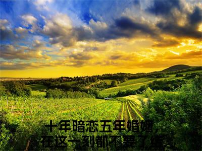十年暗恋五年婚姻，在这一刻都不要了（唐向南贺识琛）小说全文-唐向南贺识琛小说免费阅读大结局
