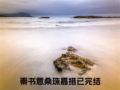 【新书】秦书意桑珠嘉措全文全章节免费阅读-秦书意桑珠嘉措 全文免费阅读无弹窗大结局