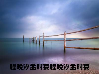 小说《程晚汐孟时宴》全文免费阅读无弹窗-程晚汐孟时宴小说全文在线赏析
