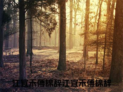 江宜禾傅锦辞（江宜禾傅锦辞）全文免费阅读无弹窗大结局_江宜禾傅锦辞（江宜禾傅锦辞）全文阅读_笔趣阁