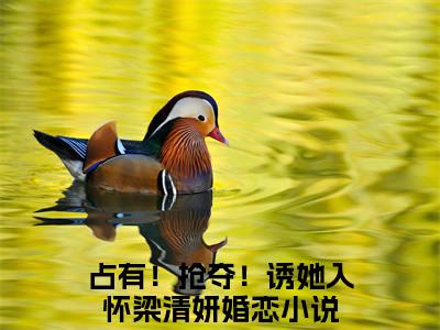 男女主人公占有！抢夺！诱她入怀梁清妍小说占有！抢夺！诱她入怀梁清妍全文免费阅读