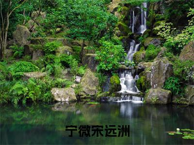 宁微宋远洲（宁微宋远洲）完整全文在线阅读_宁微宋远洲小说全章节目录阅读（宁微宋远洲）