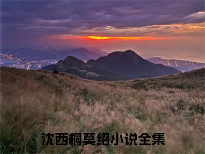 沈西桐莫绍（沈西桐莫绍）全文在线阅读无弹窗大结局_(沈西桐莫绍免费阅读全文大结局)最新章节列表_笔趣阁（沈西桐莫绍）