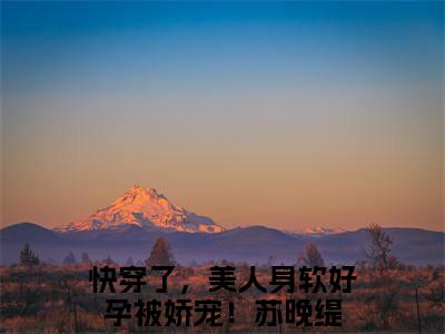 快穿了，美人身软好孕被娇宠！苏晚缇全文免费阅读无弹窗大结局-快穿了，美人身软好孕被娇宠！苏晚缇免费阅读最新章节列表（快穿了，美人身软好孕被娇宠！苏晚缇）