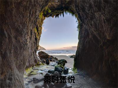 （秦时张悦）重活一次，我不再爱他全文免费阅读无弹窗大结局_（重活一次，我不再爱他）秦时张悦免费阅读无弹窗最新章节列表