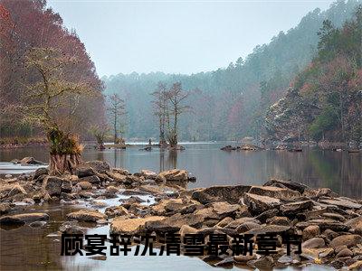 顾宴辞沈清雪（顾宴辞沈清雪）全文免费阅读大结局-顾宴辞沈清雪小说全文免费阅读最新章节列表