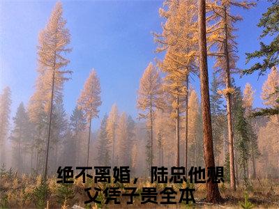 江芷珊陆勤（绝不离婚，陆总他想父凭子贵）小说全文免费读无弹窗大结局_江芷珊陆勤小说全文免费阅读