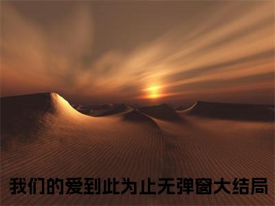我们的爱到此为止小说最新章节阅读-傅知言虞书意全文免费试读
