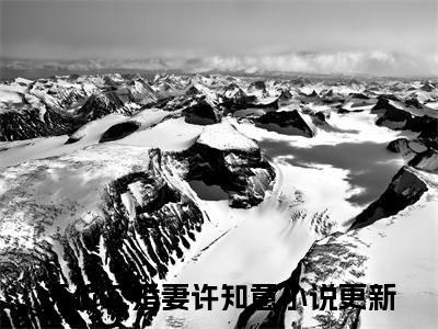 天价二婚妻许知意小说（天价二婚妻许知意）全文免费阅读无弹窗大结局_天价二婚妻许知意小说最新章节列表