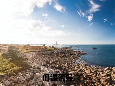 程水情沈宁远（低温诱导）全文免费阅读无弹窗大结局_程水情沈宁远全文阅读_笔趣阁（低温诱导）