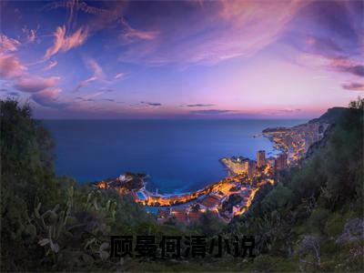 顾晏何清最后结局 顾晏何清完结版免费阅读