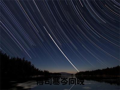 傅司寒岑向晚正版阅读小说全文傅司寒岑向晚-《傅司寒岑向晚》免费小说无广告