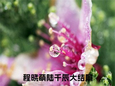 程晓萌陆千辰（程晓萌陆千辰免费阅读无弹窗）程晓萌陆千辰最新章节列表_笔趣阁