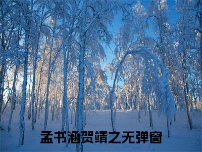孟书涵贺靖之小说大结局免费阅读-（孟书涵贺靖之）抖音新上热文分享孟书涵贺靖之