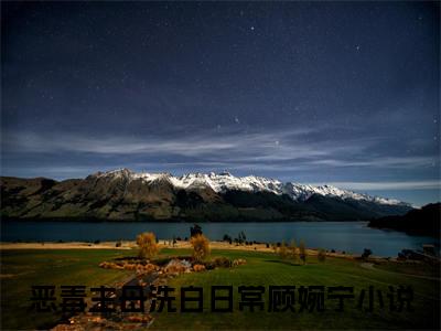 恶毒主母洗白日常顾婉宁（恶毒主母洗白日常顾婉宁）小说全文免费阅读_（恶毒主母洗白日常顾婉宁）小说全文无删减版在线阅读
